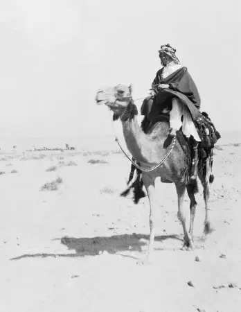 T. E. Lawrence